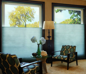 Commercial Living Room with custom blinds
